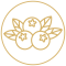 symboliikka_500x500_round_kataja.png