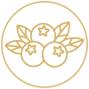 symboliikka_500x500_round_kataja.png