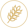 symboliikka_500x500_round_ruis.png